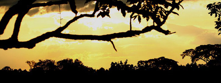 Colombia Amazon EcoTours